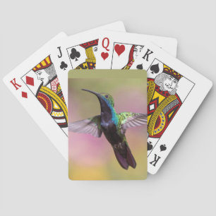 Jeu De Cartes Humming Bird