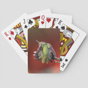 Jeu De Cartes Hummingbird Shuffle