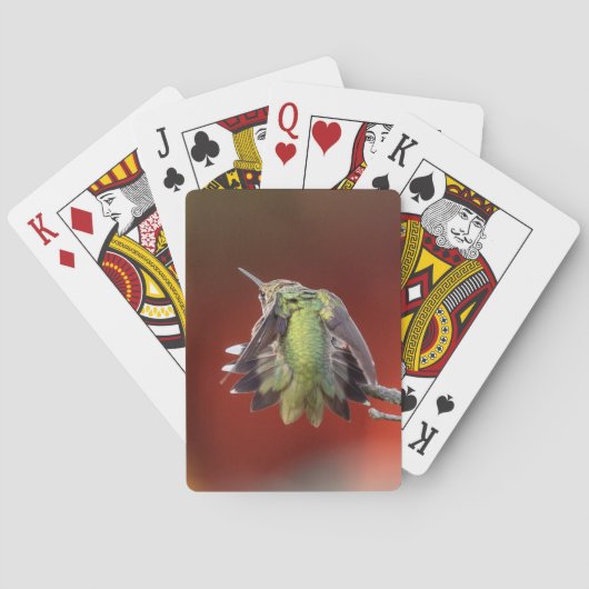 Jeu De Cartes Hummingbird Shuffle (dos)