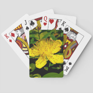 Jeu De Cartes Hypericum calycinum