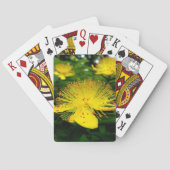 Jeu De Cartes Hypericum calycinum (dos)