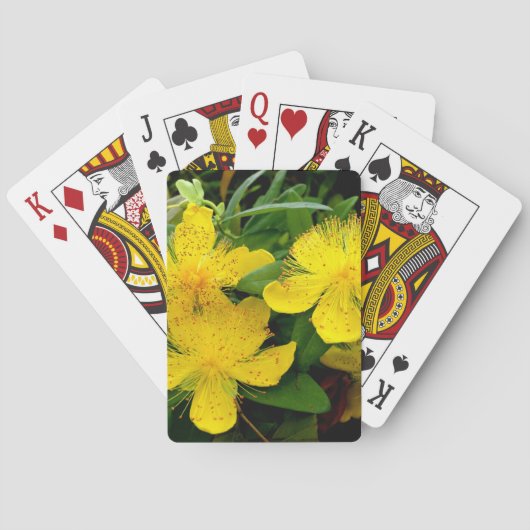 Jeu De Cartes Hypericum calycinum (dos)