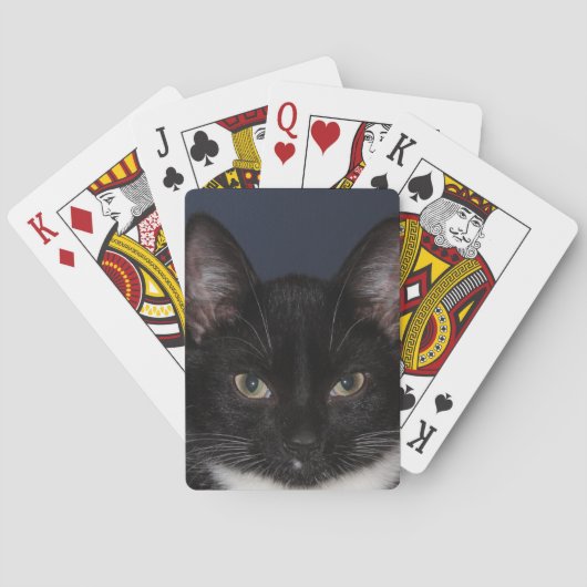 JEU DE CARTES I LUV CATZ (dos)