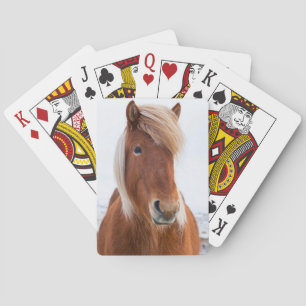 Jeu De Cartes Icelandic Horse during winter