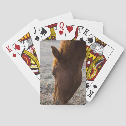 Jeu De Cartes Il Est Temps De Manger (dos)