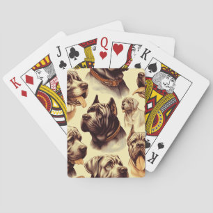 Jeu De Cartes Illusion vintage de la maçonnerie napolitaine