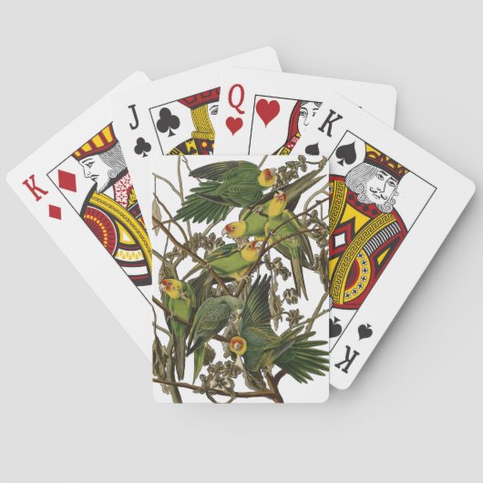 Jeu De Cartes Illustration Audubon Carolina Parrot Bird (dos)