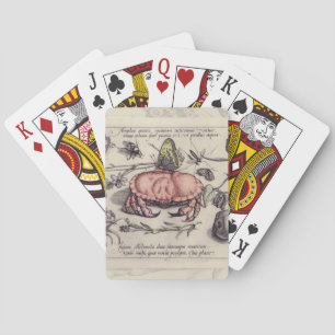 Jeu De Cartes Illustration de fleur d'insecte botanique de crabe