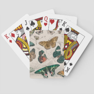 Jeu De Cartes Illustration de papillon antique : 1820 Orfèvre