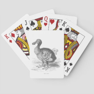 Jeu De Cartes Illustration Dodo Bird