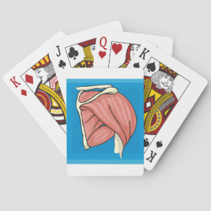 Jeu De Cartes Illustration d'organe