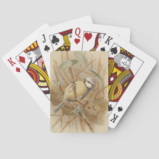 Jeu De Cartes Illustration vintage de Bluetit (dos)