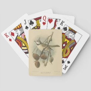 Jeu De Cartes Illustration vintage de l'European Crested Tit