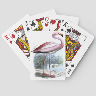 Jeu De Cartes Illustration Vintage du Flamant rose Puna