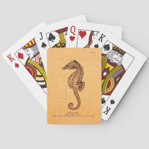 Jeu De Cartes Illustration vintage Seahorse