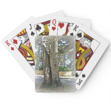 Image pittoresque de deux arbres développés