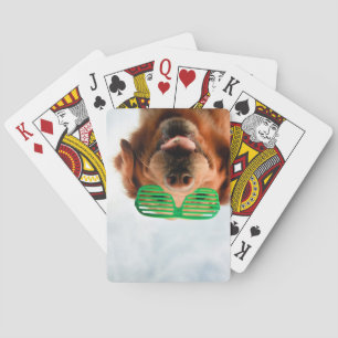 Jeu De Cartes Images Getty   Chien avec lunettes