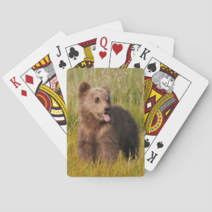 Jeu De Cartes Images Getty   Drôle bébé ours