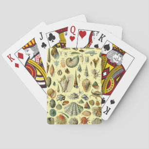 Jeu De Cartes Impression vintage de coquillages Adolphe Millot C