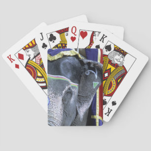 Jeu De Cartes Inde, Rajasthan, Jaipur. Le fort d'Amber.