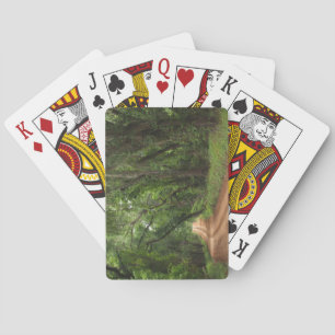 Jeu De Cartes Index Standard Plantation Cartes Route Plantation