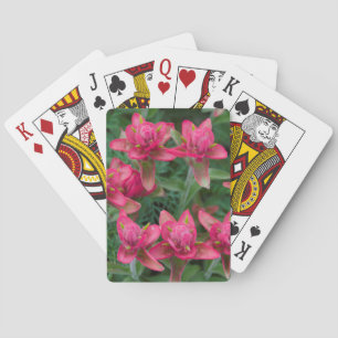 Jeu De Cartes Indian Paintbrush