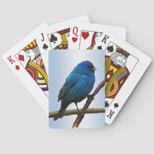 Jeu De Cartes Indigo Bunting Bird Places