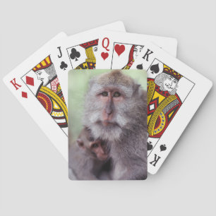 Jeu De Cartes Indonésie, Bali, Ubud, Macaque à queue longue