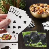 Jeu De Cartes Infant Mountain Gorilla Kisses Silverback (In Situ)