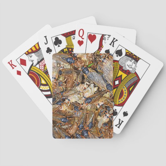 Jeu De Cartes Invasion du Canada (dos)