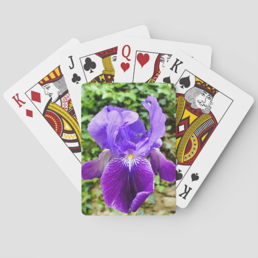 Jeu De Cartes Iris à poils (dos)