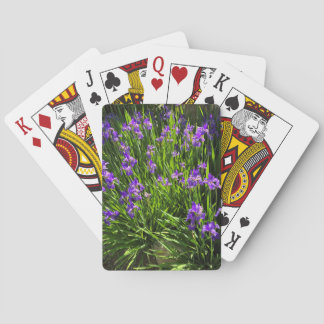 Jeu De Cartes Iris Jouer Des Cartes