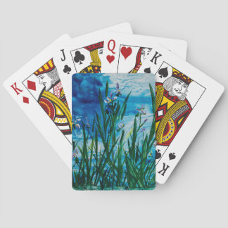 Jeu De Cartes Iris sur les cartes de jeu de bord de l'eau