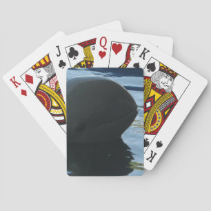 Jeu De Cartes Irrawaddy Dolphin Peek-A-Boo