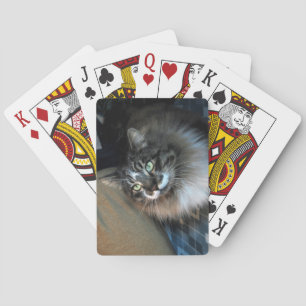 Jeu De Cartes Irrésistible Vélo Chat Jouer Cartes