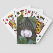 Jeu De Cartes Jack-in-the-Pulpit Plante Botanique (dos)