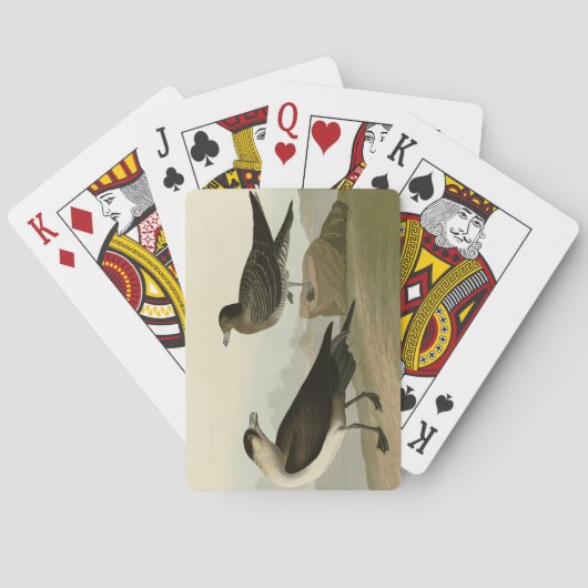 Jeu De Cartes Jager de Richardson de Audubon's Birds of America (dos)