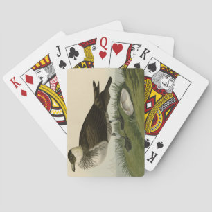 Jeu De Cartes Jager (Pomarine Jaeger) Audubon's Birds of America