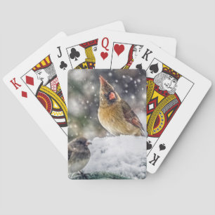 Jeu De Cartes J'ai mon oeil sur toi