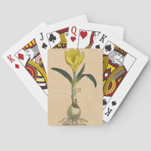 Jeu De Cartes Jardin botanique de tulipe Amaryllis Fleur