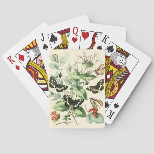 Jeu De Cartes Jardin des papillons et des fleurs (dos)