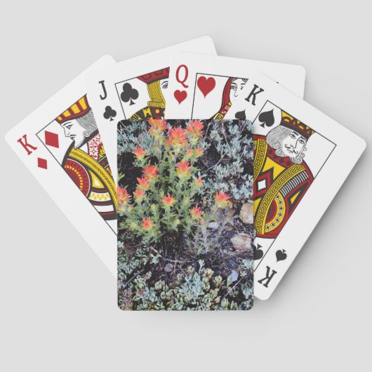 Jeu De Cartes Jardin miniature au lac Gem (dos)