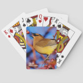 Jeu De Cartes Jaseur de cèdre (dos)