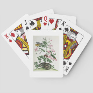 Jeu De Cartes Jasmine: with snake, moth, caterpiller and chrysal
