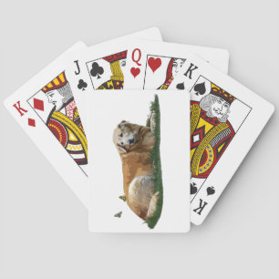 Jeu De Cartes Jaune Labrador Chien de race mixte Jouer des carte