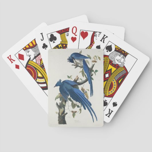 Jeu De Cartes Jay noir à pâte molle à tarte noire Audubon Columb (dos)