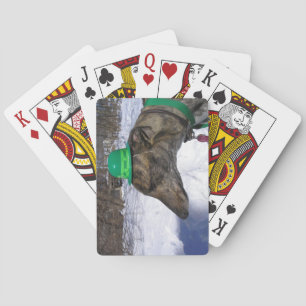 Jeu De Cartes Je vais te faire courir !"