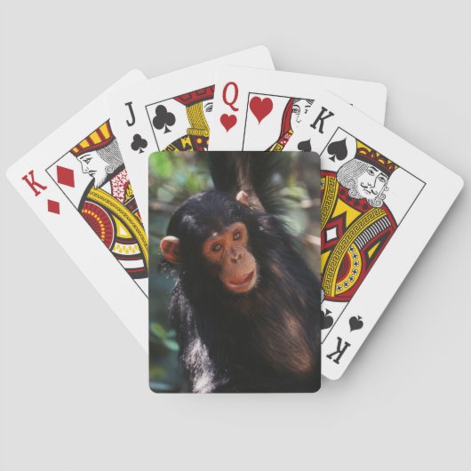 Jeu De Cartes Jeune chimpanzé accrochant à la forêt (dos)