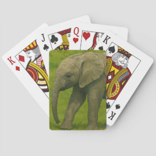Jeu De Cartes Jeune éléphant avec tuteur dans la réserve de Gras