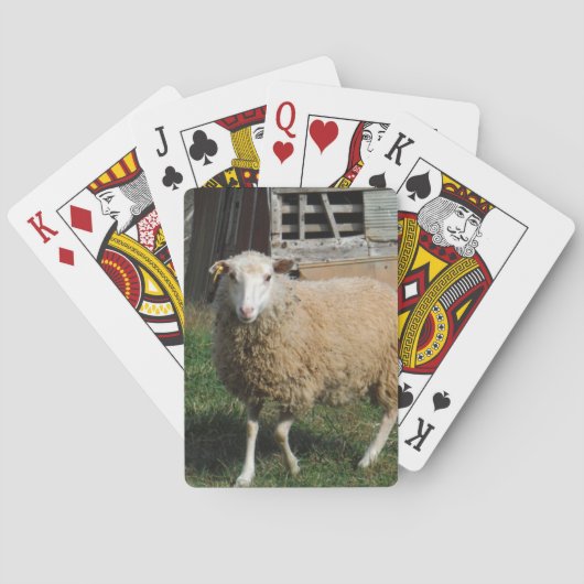 Jeu De Cartes Jeune mouton blanc sur la ferme (dos)